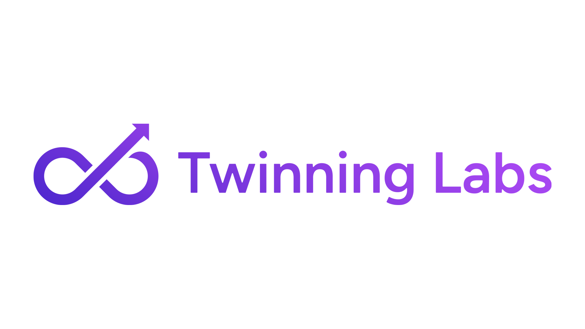 Twinning Labs Demo